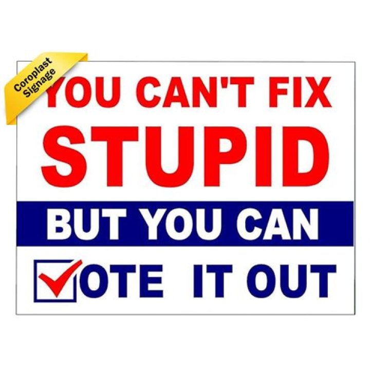 'You can't fix stupid but you can vote it out': Here are some of the best signs from the March for O