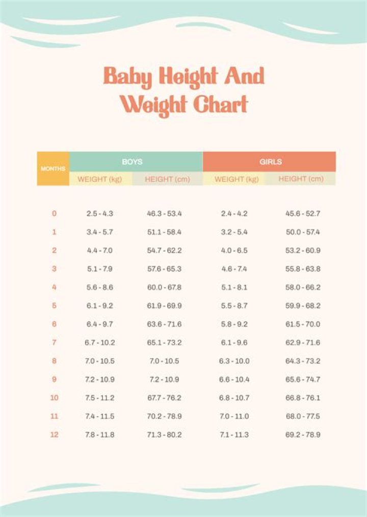 A Journey Of Height, Weight, Net Worth, And Age