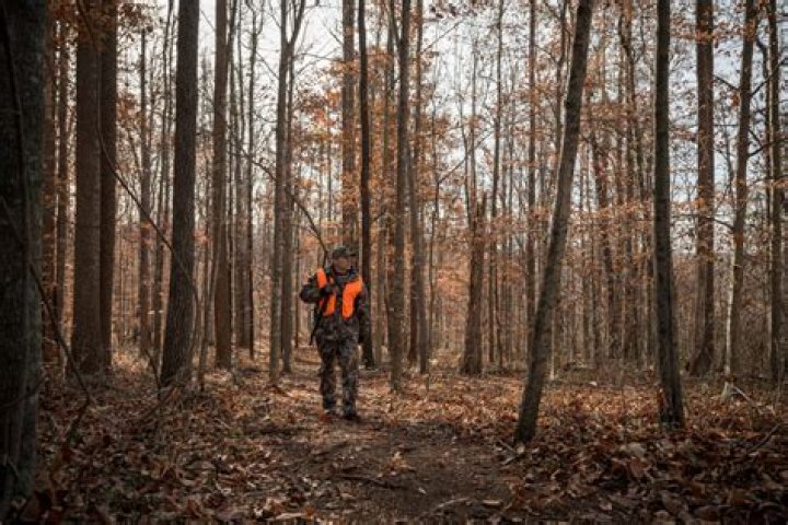 Bear Hunting Expertise And Legacy