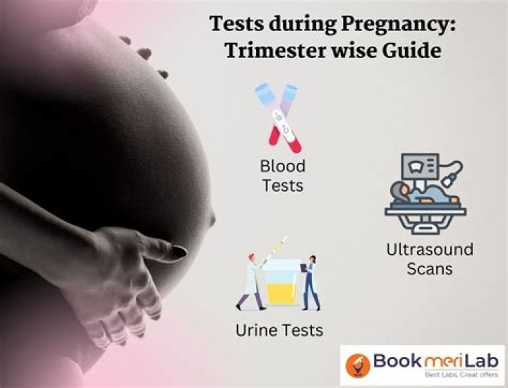 Debunking Pregnancy Rumors: A Guide To Truth