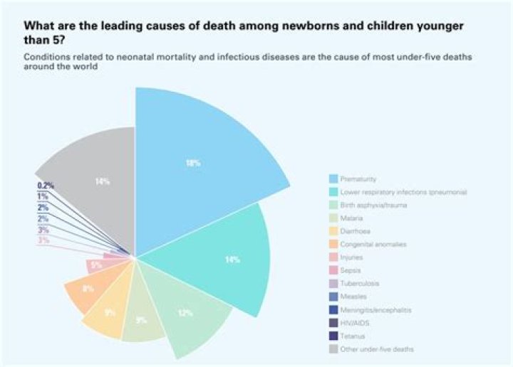 Discover The "What Is The Cause Of Death Of" Enigma