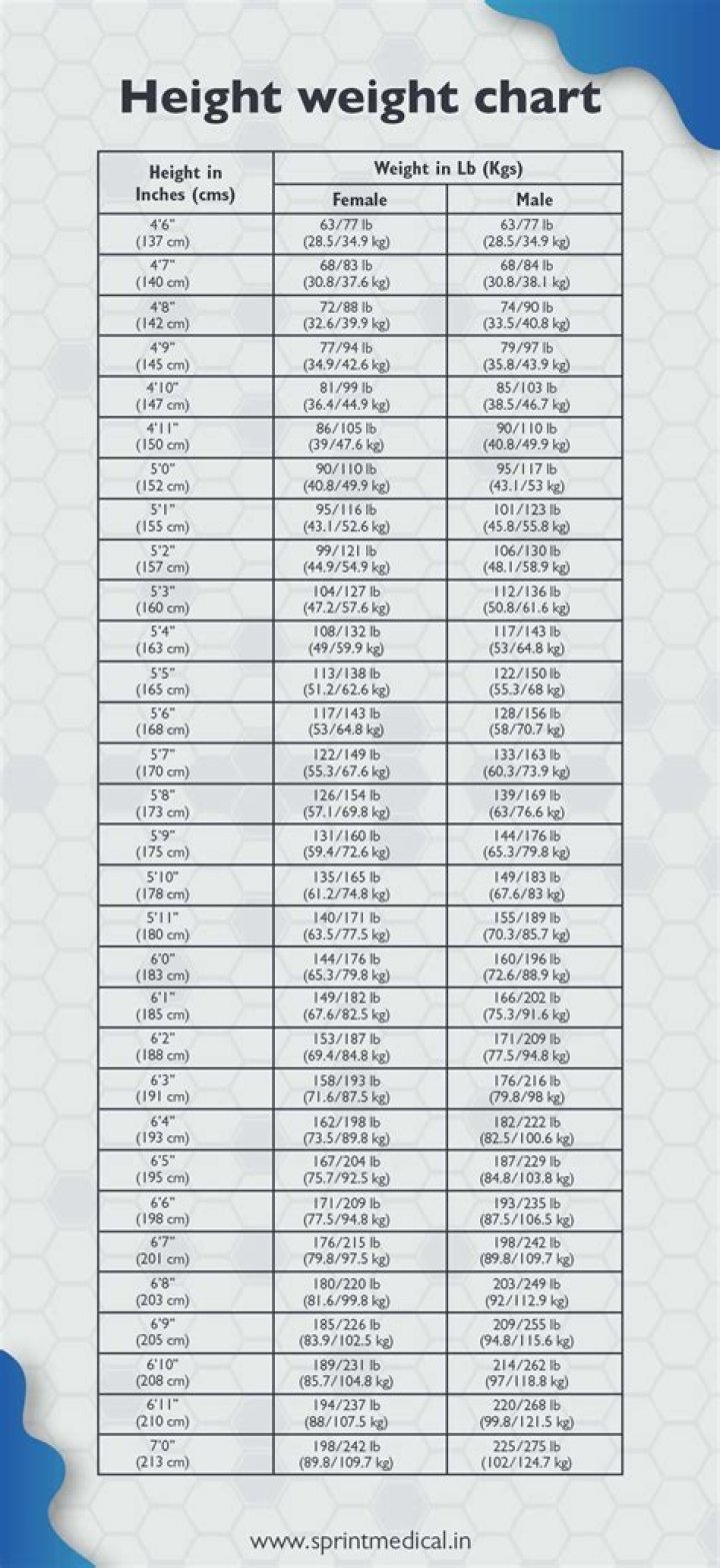 Height, Weight, And Net Worth Explored