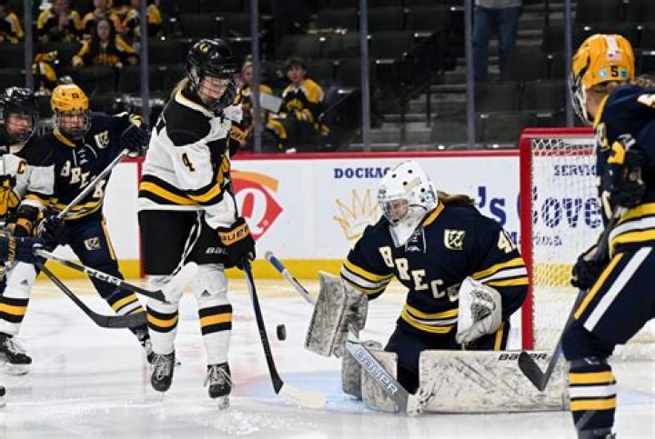 Insights And Discoveries For Hockey Enthusiasts