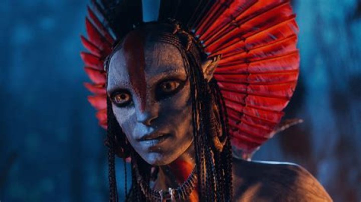 Landan Ash - Age, Family, Bio ·