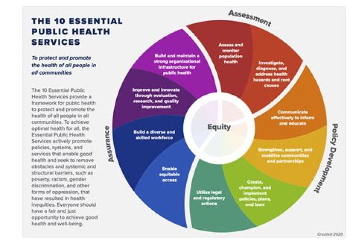 Megan Nutt's 10 Essential Attributes