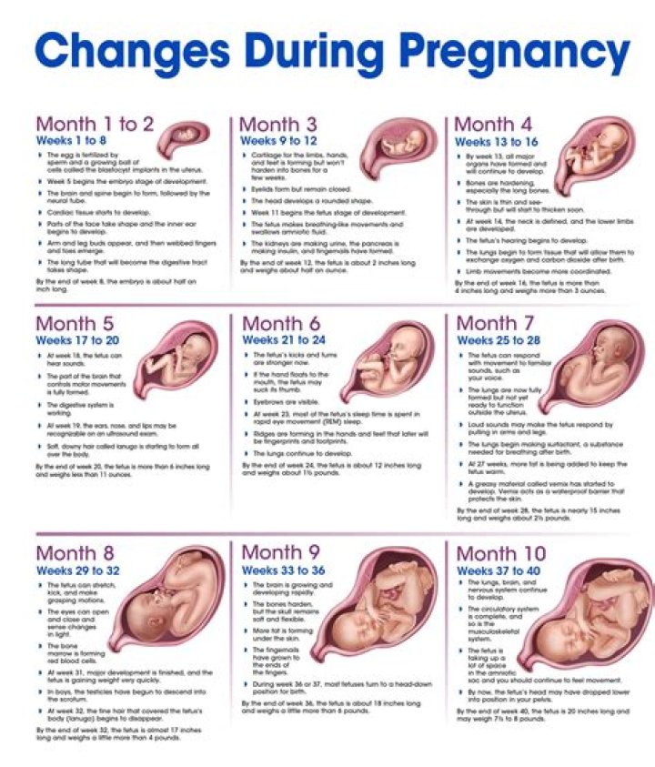 Selena Gomez's Pregnancy Journey: A Timeline Of Events