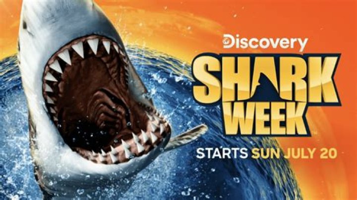 Shark of DarknessFake Documentary Starts Off Shark Week On Discovery Channel Hollywood |