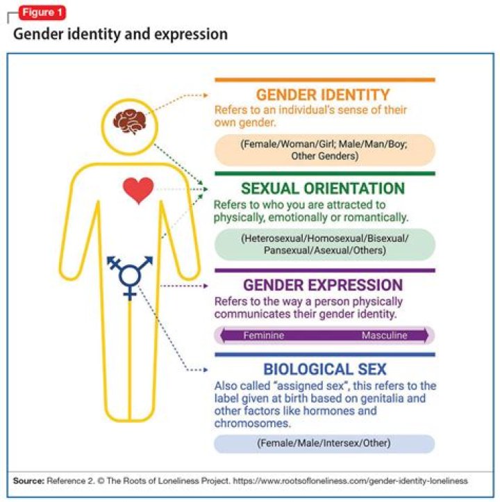 Understanding Gender Identity And Relationships