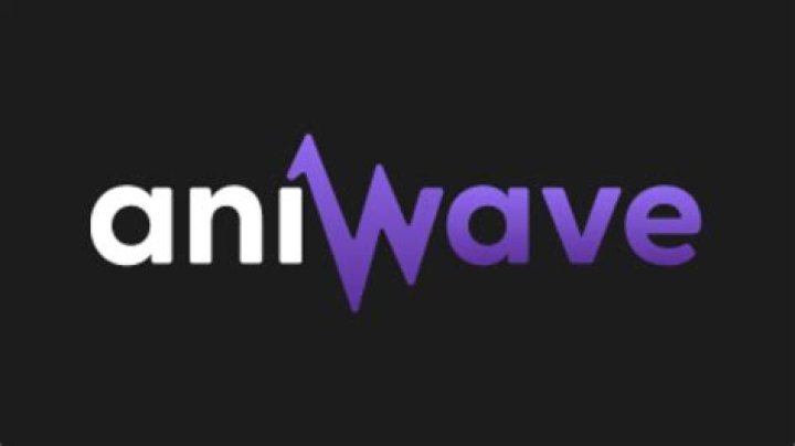 What Happened To Aniwave? The Mysterious Closure