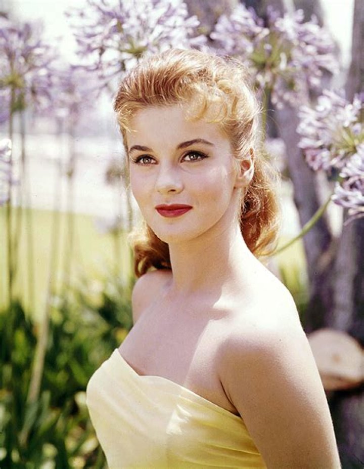 Who Is Ann-Margret? 5 Things To Know About The Actress Turned Rocker Hollywood Life