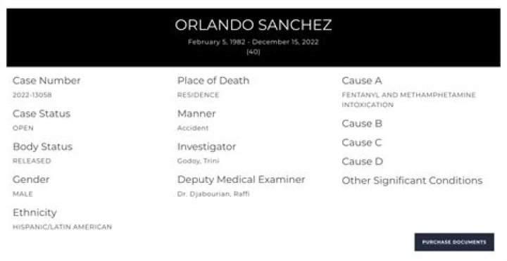 Who Was Fighter Orlando Sanchez? Insights His Cause of Death, Wiki, & Married